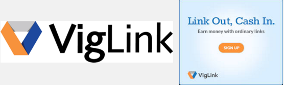 viglink make money on internet